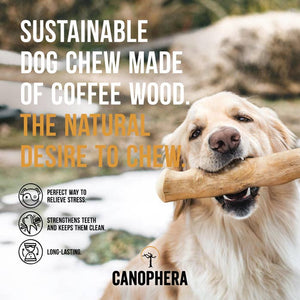 Coffee Wood Dog Chew