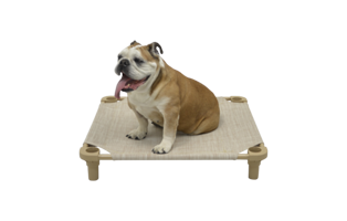 Build a Cot™ Customizable Place Bed