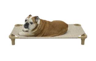 Build a Cot™ Customizable Place Bed