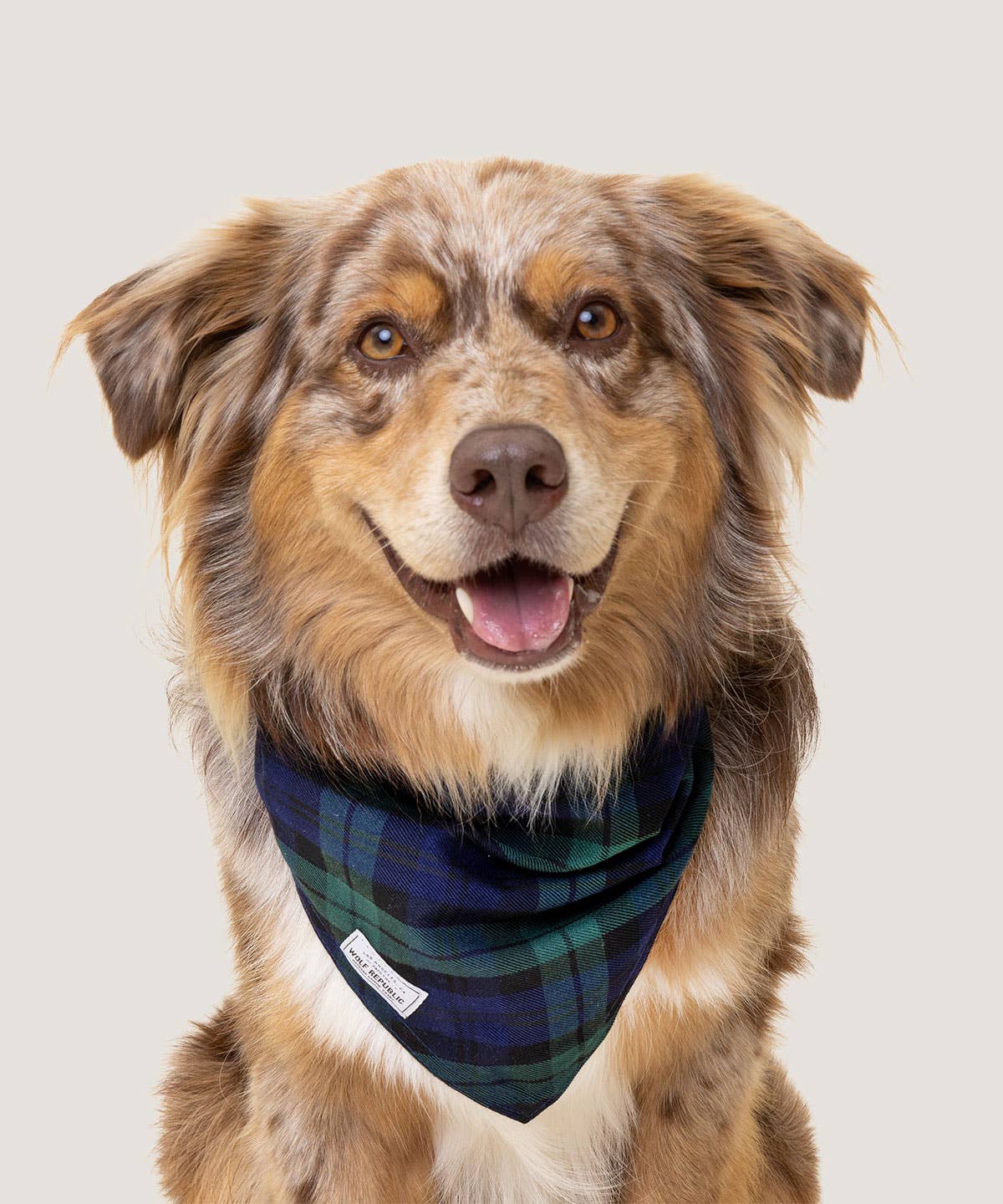 Bandana - Navy Plaid